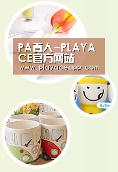 关于PA真人