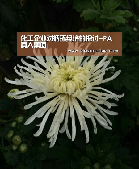 化工企业对循环经济的探讨-PA真人集团(图2) PA真人集团
