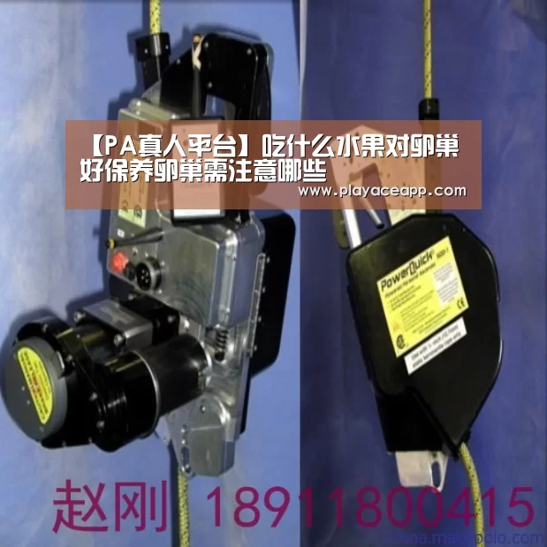 PA真人官网
