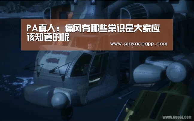 PA真人集团