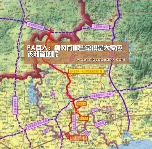 PA真人