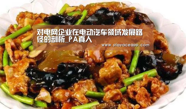 对电网企业在电动汽车领域发展路径的剖析_PA真人(图2) PA真人平台
