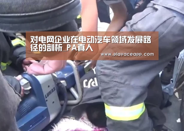对电网企业在电动汽车领域发展路径的剖析_PA真人(图4) PA真人