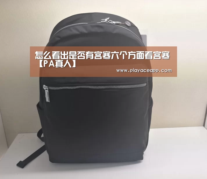 PA真人